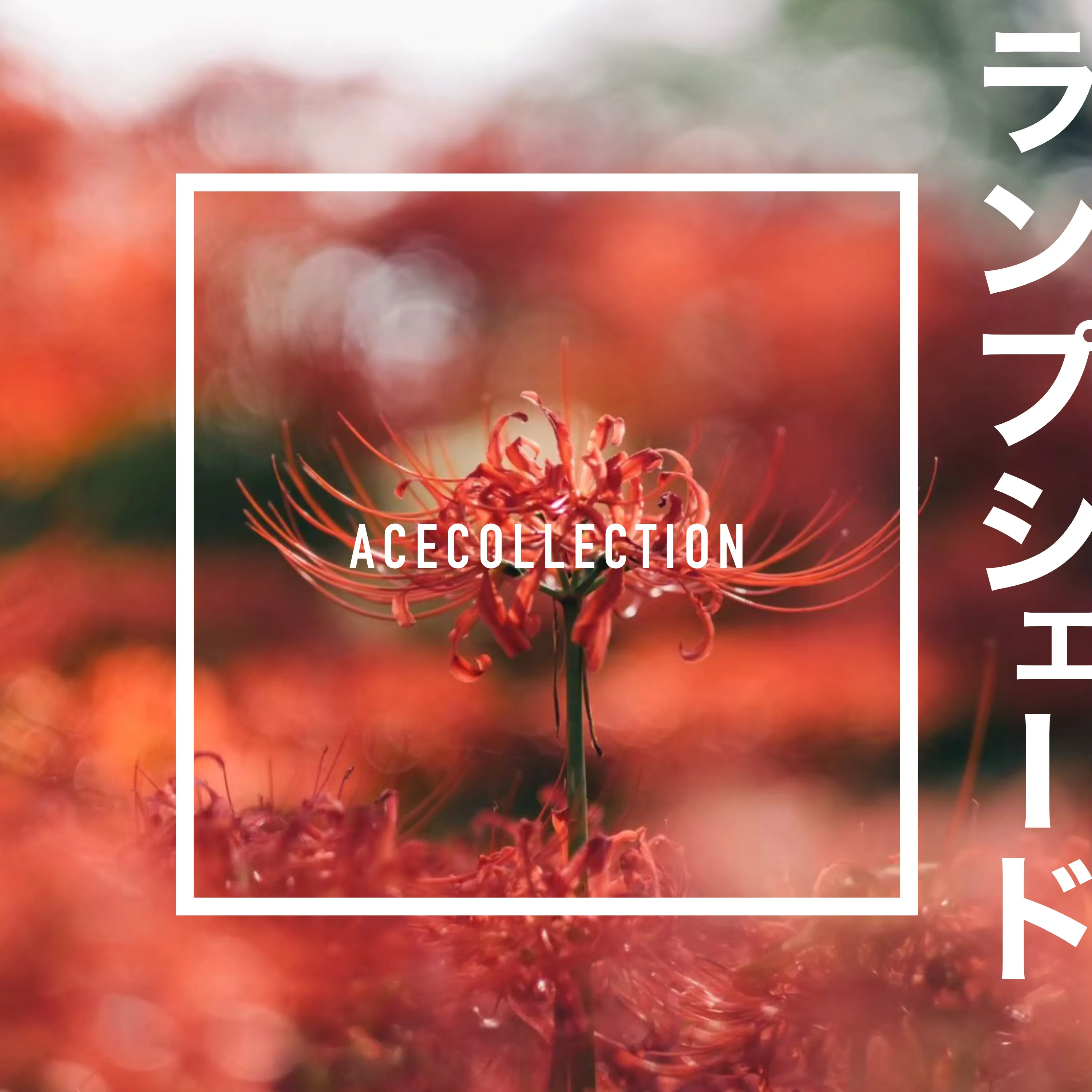 ランプシェード